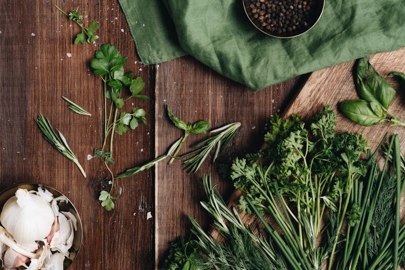 Herbes sauvages et orties en champ
