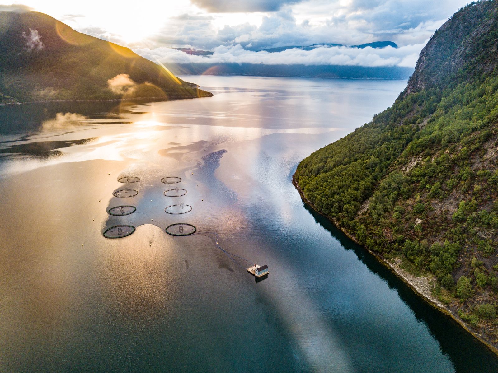 Vue aérienne de cages marines d'élevage de saumon dans un fjord norvégien