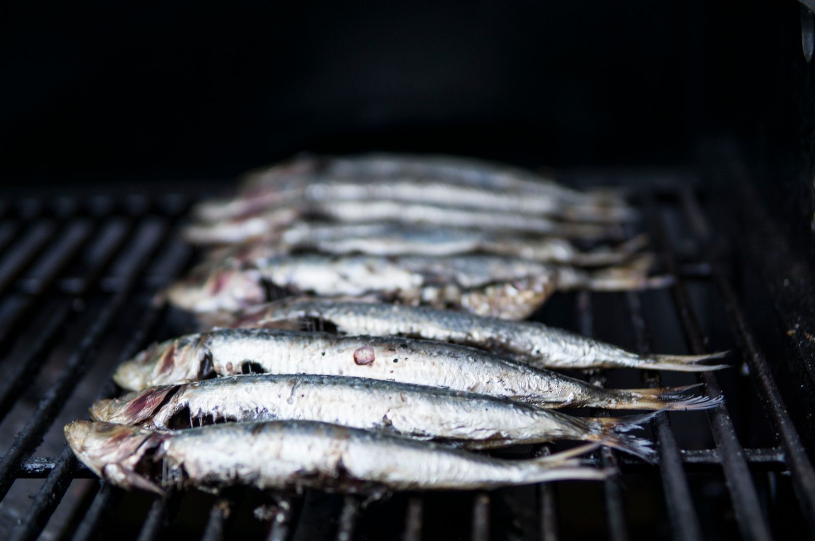 Sardines grillées, petits poissons gras riches en DHA pour le cerveau